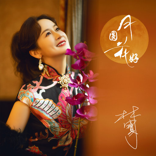 午夜精品福利视频
